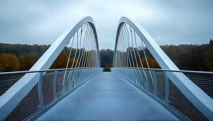 Obraz premium Modern Arch Pedestrian Bridge in Autumnal Forest
