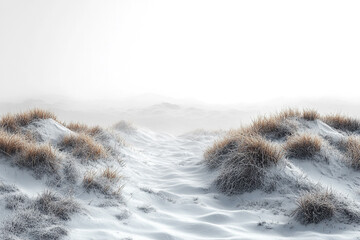 Winter landscape showing snow covered dunes and frosted grass