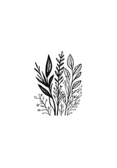 Fototapeta premium Hand-Drawn Botanical Elements in Minimalist Style, Elegant Plant and Leaf Line Art for Natural and Organic Designs