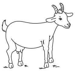 Cute cartoon hand drawn vector goat outline.