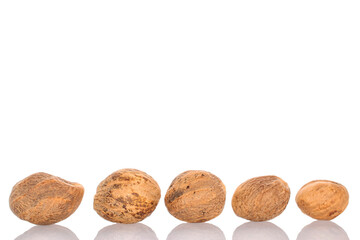 Several nutmegs, macro, isolated on white background.