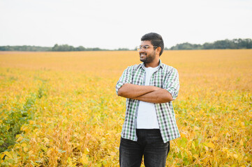 indian farmer at farm field. soybean field