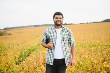 The concept of agriculture. An Indian farmer or agronomist inspects the soybean crop in a field