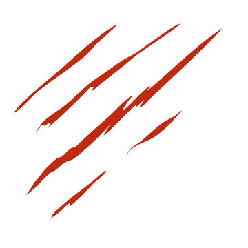 Bloody claw marks vector