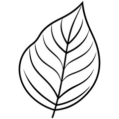 Elegant Leaf Line Design