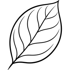 Elegant Leaf Line Design