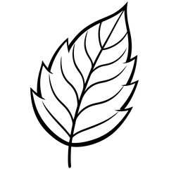 Elegant Leaf Line Design
