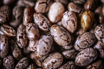 A close-up of chia seeds, showcasing their unique speckled patterns and glossy texture. These tiny seeds are a popular superfood, rich in nutrients and perfect for healthy recipes.