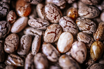 A close-up of chia seeds, showcasing their unique speckled patterns and glossy texture. These tiny seeds are a popular superfood, rich in nutrients and perfect for healthy recipes.