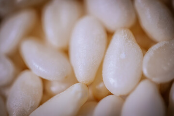 A macro shot of white sesame seeds showcasing their smooth texture and oval shape, commonly used in cooking and baking.