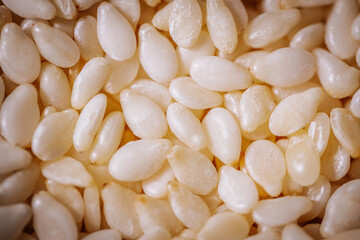 A macro shot of white sesame seeds showcasing their smooth texture and oval shape, commonly used in cooking and baking.