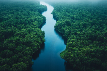 Aerial View Of A River Flowing Through Lush Green Forest