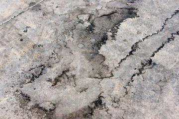 stone wall texture