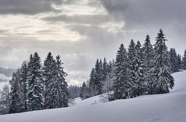 activity, adventure, aerial, aerial view, air layers, alpine, alps, altitude, austria, austrian alps, beautiful, bregenz forest, chalet, december, drone, forest, fun vacation, holiday, hot air balloon