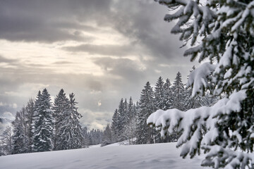 Naklejka premium activity, adventure, aerial, aerial view, air layers, alpine, alps, altitude, austria, austrian alps, beautiful, bregenz forest, chalet, december, drone, forest, fun vacation, holiday, hot air balloon
