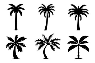 Modern Palm Tree Graphics Set