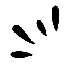 Doodle shine sunburst sparkle ray element