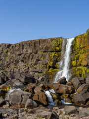 Obraz premium waterfall near thingvellir in iceland