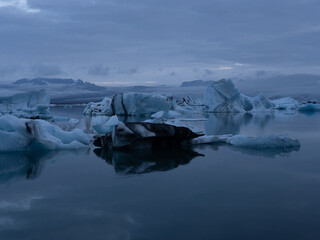 Icebergs and seal in Jokulsarlon lagoon water in iceland near the diamond beach at sunrise