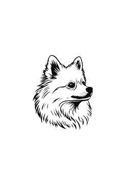 recommend clip art: Fluffy Dog Head Portrait in Hand-Drawn Line Art Style, Detailed Vector Illustration of a Cute Canine with Elegant Fur