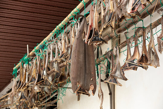 Pescados variados colgados para secarse.