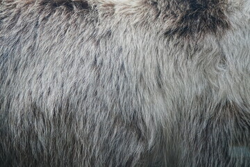 Background wool