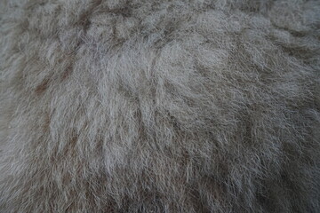 Background wool