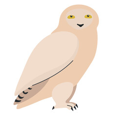 Snowy owl icon clipart avatar logotype isolated illustration