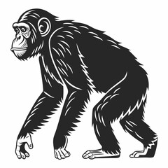 Chimpanzee vector silhouette black design white background