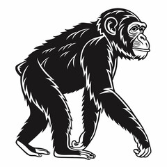 Chimpanzee vector silhouette black design white background