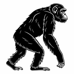 Chimpanzee vector silhouette black design white background