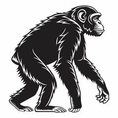 Chimpanzee vector silhouette black design white background