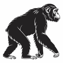Chimpanzee vector silhouette black design white background