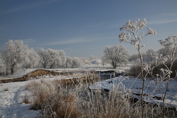 Trees covered in frost stand near a river in Kazakhstan.
