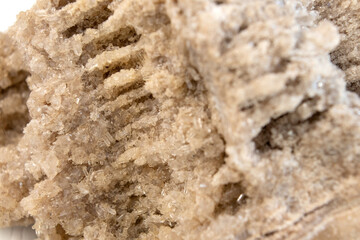 Ancient old petrified wood, excavation, minerals, as nice background Narrow focus line, shallow depth of field macro