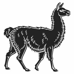 Fototapeta premium Alpaca vector silhouette black design white background