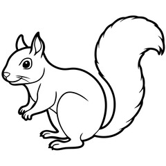 Cute  Line Art Squirrel Silhouette Black Vector Illustration