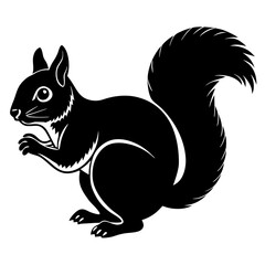 Cute  Line Art Squirrel Silhouette Black Vector Illustration