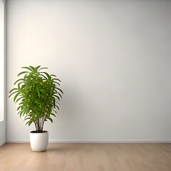Fototapeta premium White Wall Studio Interior Background with Plant