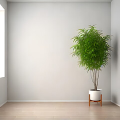 Fototapeta premium White Wall Studio Interior Background with Plant