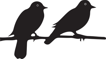 two birds on a white background
