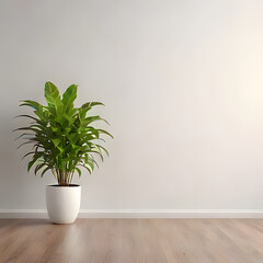 Fototapeta premium White Wall Studio Interior Background with Plant