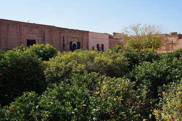 Garden in courtyard of El Badi palace in Marrakech city in Morocco