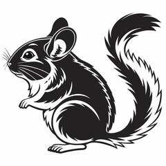 Chinchilla vector silhouette black design white background
