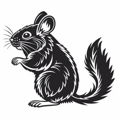 Chinchilla vector silhouette black design white background