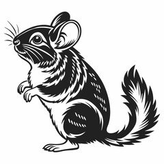 Chinchilla vector silhouette black design white background
