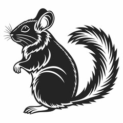 Chinchilla vector silhouette black design white background