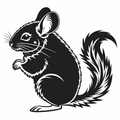 Chinchilla vector silhouette black design white background