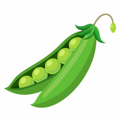 peas isolated on white