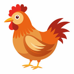 hen and rooster